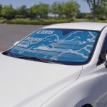 Detroit Lions Auto Shade
